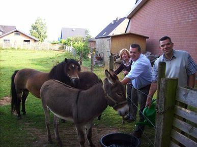 Wohnen mit Behinderung