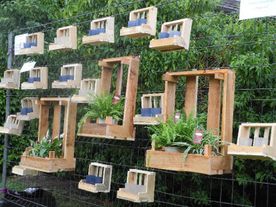 Sommerfest 2015